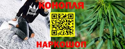 сатива Аргун